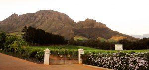 Thelema Mountain Wineyards Entrance